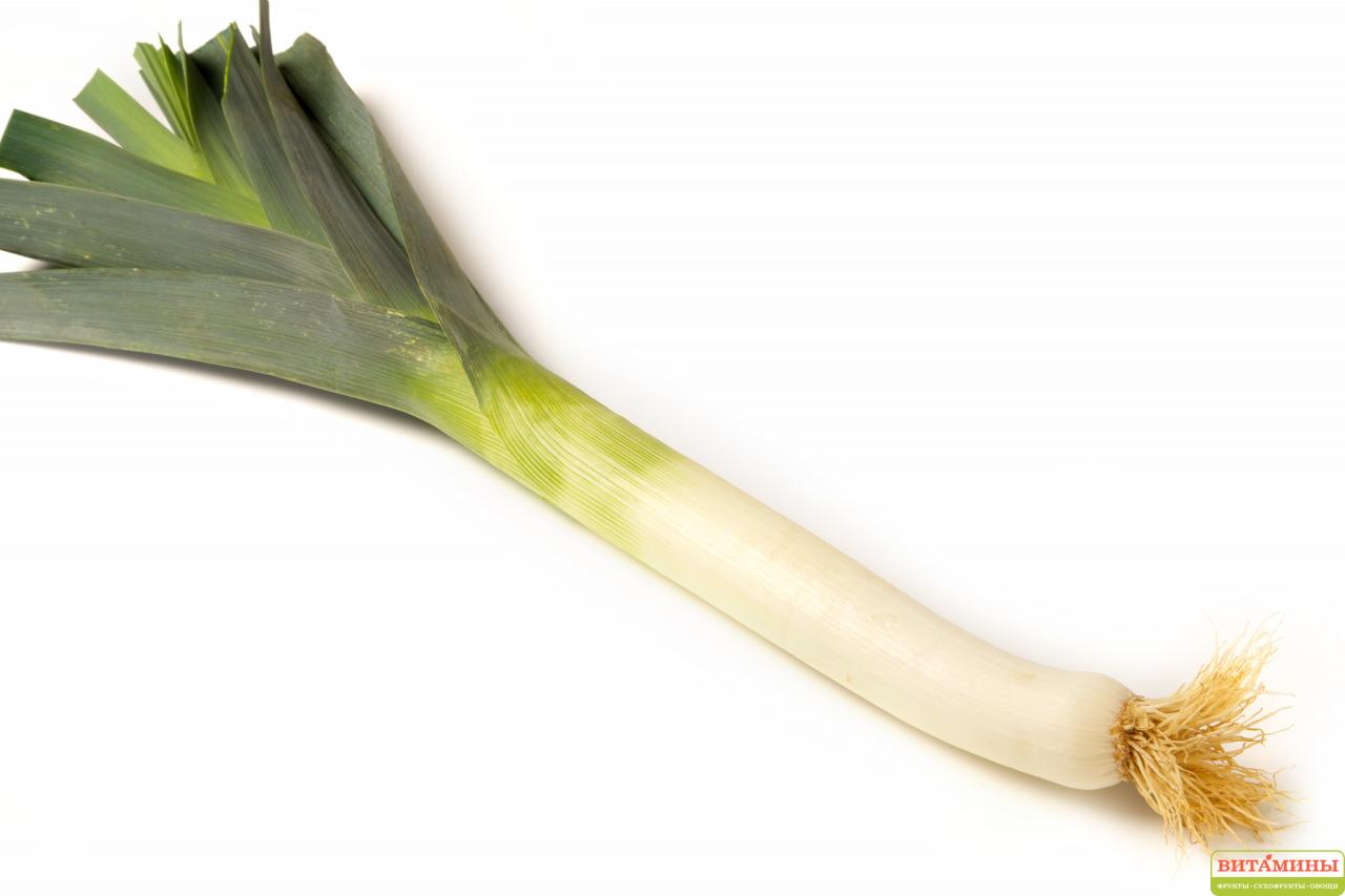 лук
